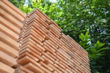 Holzbretter gestapelt vor einem grünen Busch
